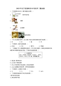 2023年辽宁省铁岭市中考化学二模试卷（含答案解析）