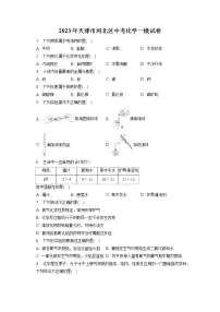 2023年天津市河北区中考化学一模试卷(含答案解析)