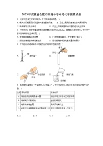 2023年安徽省合肥市西递中学中考化学模拟试卷（含答案解析）