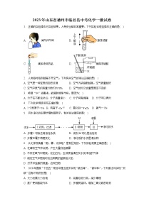 2023年山东省德州市临邑县中考化学一模试卷（含答案解析）