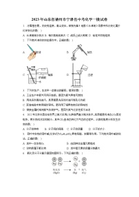 2023年山东省德州市宁津县中考化学一模试卷（含答案解析）