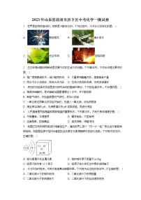 2023年山东省济南市历下区中考化学一模试卷(含答案解析)