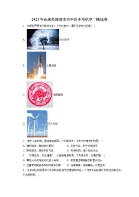 2023年山东省济南市市中区中考化学一模试卷(含答案解析)