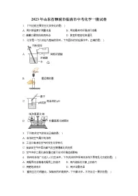 2023年山东省聊城市临清市中考化学一模试卷(含答案解析)