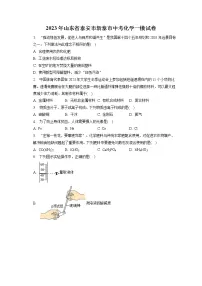 2023年山东省泰安市新泰市中考化学一模试卷（含答案解析）