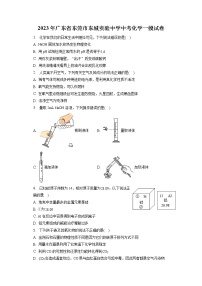 2023年广东省东莞市东城实验中学中考化学一模试卷（含答案解析）