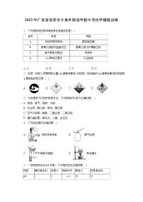 2023年广东省东莞市丰泰外国语学校中考化学模拟试卷（含答案解析）