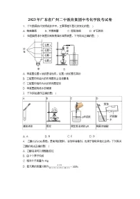 2023年广东省广州二中教育集团中考化学段考试卷（含答案解析）