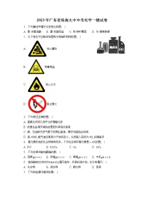 2023年广东省珠海九中中考化学一模试卷（含答案解析）