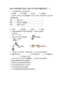 2023年河南省驻马店市上蔡六中中考化学模拟试卷（一）（含答案解析）