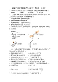 2023年湖南省张家界市永定区中考化学一模试卷（含答案解析）