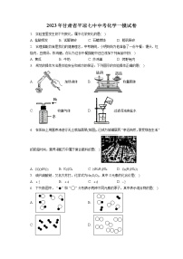 2023年甘肃省平凉七中中考化学一模试卷（含答案解析）