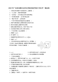 2023年广东省深圳市龙华区丹堤实验学校中考化学一模试卷（含答案解析）