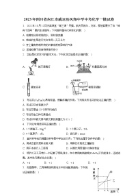 2023年四川省内江市威远县凤翔中学中考化学一模试卷（含答案解析）