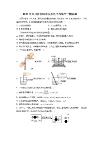 2023年四川省资阳市安岳县中考化学一模试卷（含答案解析）