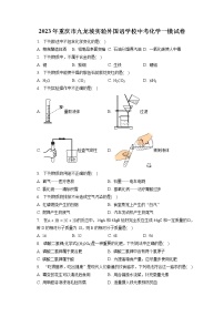 2023年重庆市九龙坡实验外国语学校中考化学一模试卷（含答案解析）