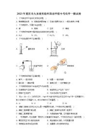 2023年重庆市九龙坡实验外国语学校中考化学一模试卷(含答案解析)