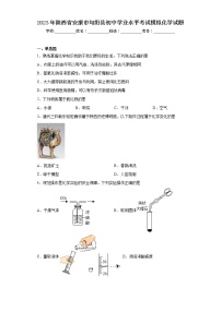 2023年陕西省安康市旬阳县初中学业水平考试模拟化学试题