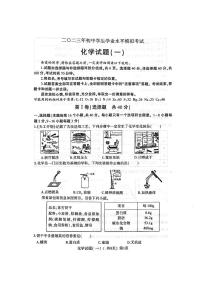 2023年山东省聊城市阳谷县一模化学试题