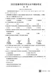 2023年江西省宜春市初中学业水平模拟考试化学试题