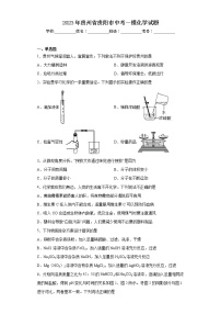 2023年贵州省贵阳市中考一模化学试题