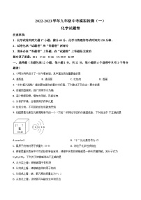 2023年芜湖市无为市部分学校中考二模化学试题