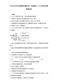 2023年中考化学微类专题专练（全国通用）-20化学反应现象描述⑤