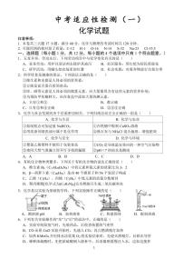 2023年安徽省六安市金安区皋城中学中考适应性检测化学试题