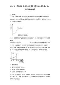 2023年中考化学冲刺复习坐标图像专题模拟新题专练-04金属及酸、碱、盐反应的图像②