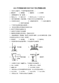 2023年河南省洛阳市洛宁县中考化学模拟试卷(含答案解析)