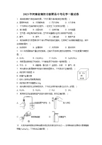 2023年河南省南阳市新野县中考化学一模试卷(含答案解析)