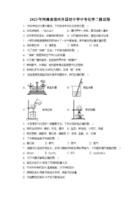 2023年河南省郑州外国语中学中考化学二模试卷(含答案解析)