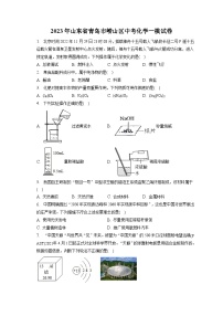 2023年山东省青岛市崂山区中考化学一模试卷(含答案解析)