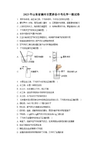 2023年山东省德州市夏津县中考化学一模试卷(含答案解析)