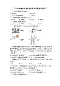 2023年湖南省湘西州凤凰县中考化学诊断试卷(含答案解析)