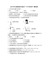 2023年江西省抚州市临川一中中考化学一模试卷(含答案解析)