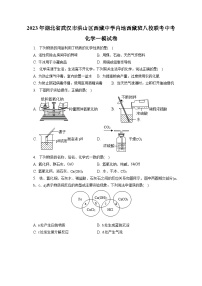 2023年湖北省武汉市洪山区西藏中学内地西藏班八校联考中考化学一模试卷(含答案解析)