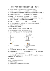 2023年山东省德州市德城区中考化学一模试卷(含答案解析)