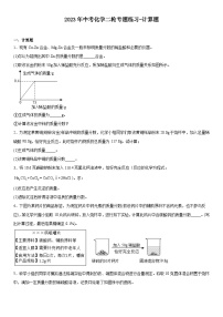 2023年中考化学二轮专题练习----计算题