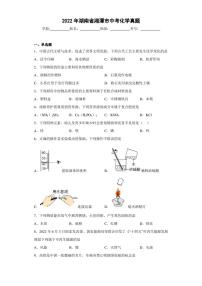 2022年湖南省湘潭市中考化学真题