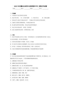 2023年安徽省合肥市名校联盟中考二模化学试题