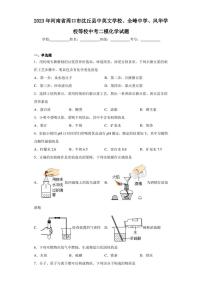 2023年河南省周口市沈丘县中英文学校、全峰中学、风华学校等校中考二模化学试题