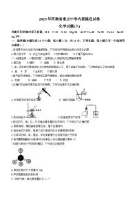 2023年河南省驻马店市确山县中考三模化学试题（含答案）