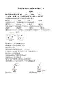 2023年吉林省长春市德惠市中考二模化学试题（含答案）