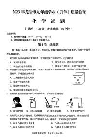 2023年福建省龙岩市中考二模化学试题及答案