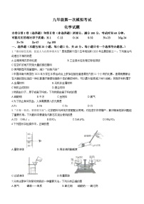 2023年山东省泰安市新泰市中考一模化学试题