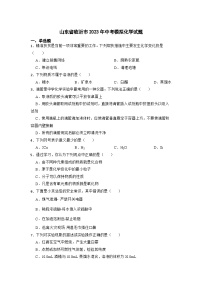 2023年山东省临沂市中考模拟化学试题