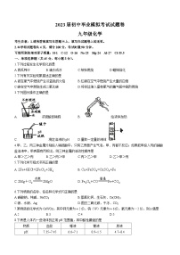 2023年湖南省常德市澧县中考三模化学试题(含答案)