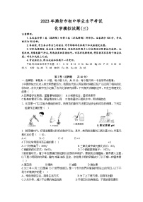 2023年山东省潍坊市初中学业水平模拟考试化学试题(三)(含答案)