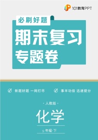 化学人教版9年级下期末复习专题卷 02